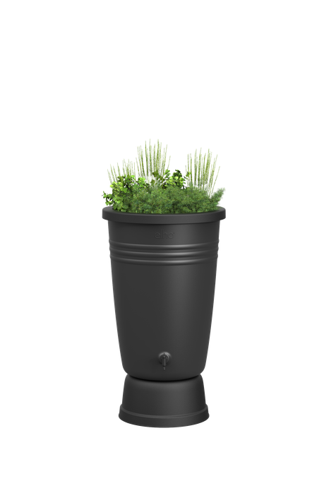 green basics rainbarrel plus 110ltr living black